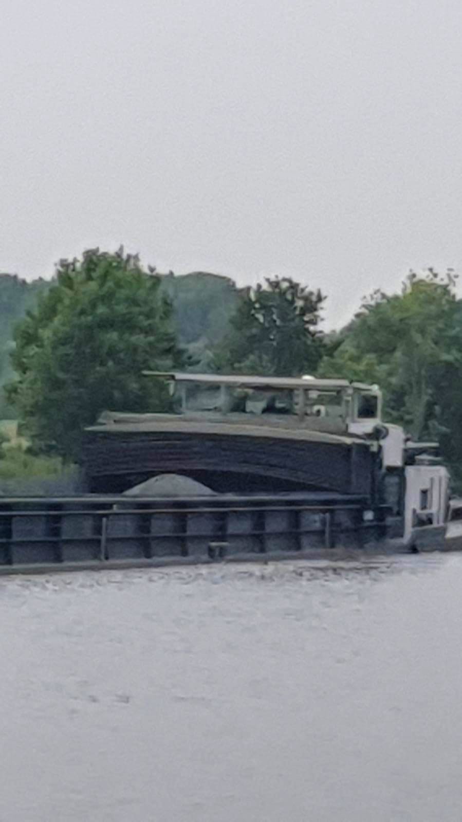 Orca — thumbnail 5